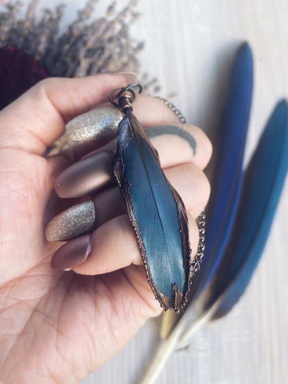 Reserved ~ Macaw feather